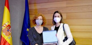El proyecto “Valencia, ciudad neuroprotegida”, I Premio de la Fundación Domus a la investigación