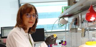 Mariam Ibáñez: premiada, de nuevo, por la Sociedad Española de Hematología
