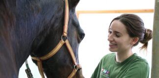 Desayunos de Veterinaria CEU, conocer más la profesión desde el testimonio de los expertos