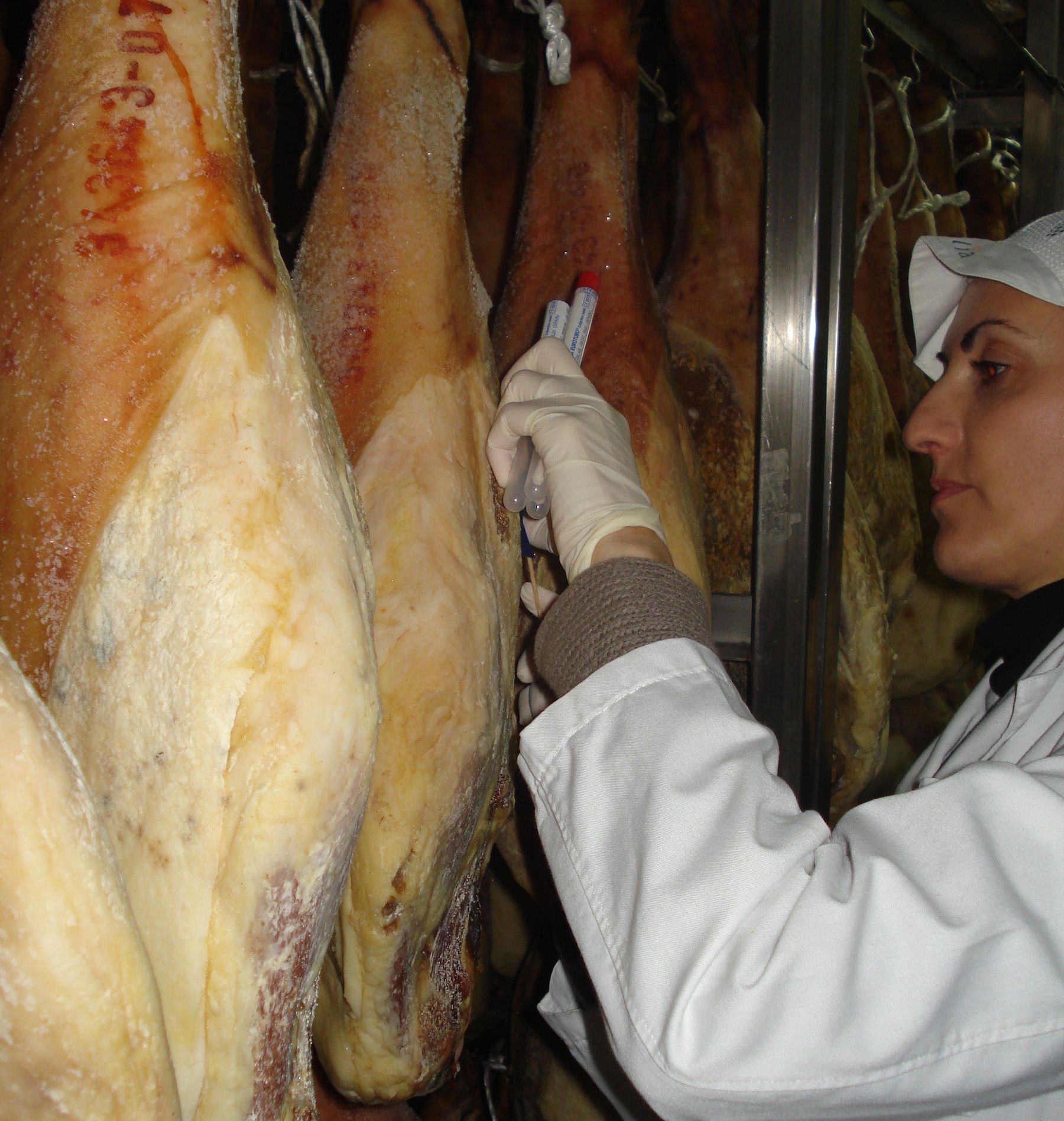 La profesora de Veterinaria de la CEU UCH Mari Carmen López Mendoza ha colaborado en la conceptualización científica del secado al natural de productos cárnicos como tradición cultural turolense.