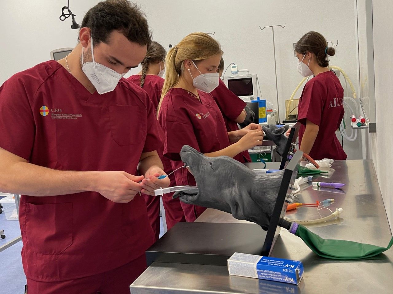 Estudiantes de la CEU UCH practicando con los equipos del centro de simulación veterinaria del Hospital Clínico Veterinario de la Universidad.
