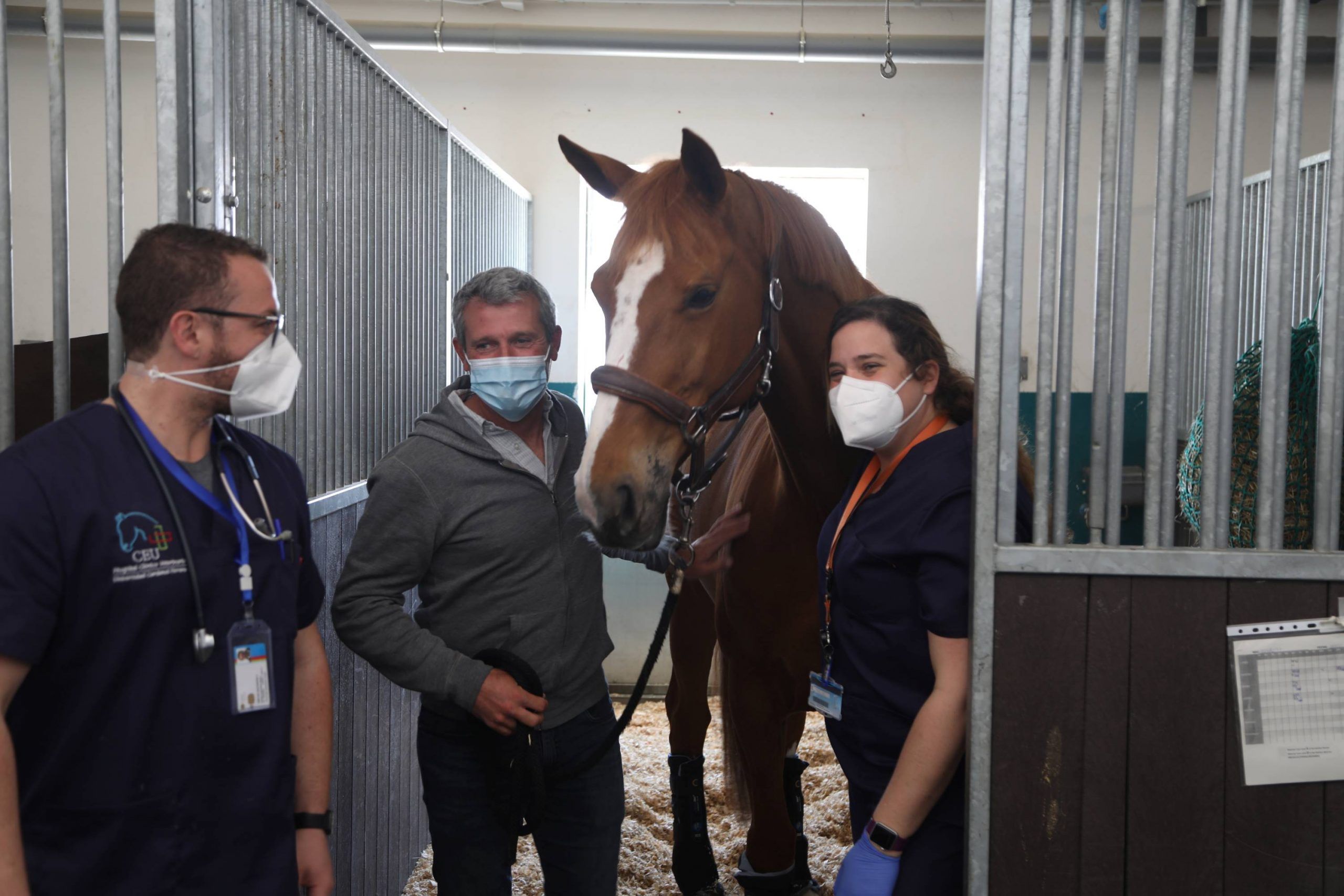 Los propietarios de los caballos dados de alta en el HCV CEU por el brote de rinoneumonía han mostrado su agradecimiento al equipo veterinario, liderado por las profesoras de la CEU UCH Ana Velloso y María de la Cuesta. 