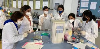 Cinco años de SWICEU: universitarios que enseñan a escolares a buscar nuevos antibióticos
