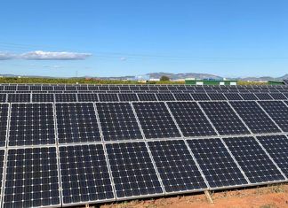 Solar fotovoltaica: conociendo sobre el terreno la tecnología para la transición energética