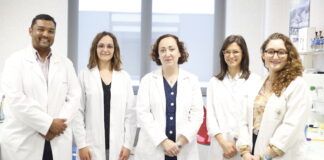 Hallan un principio activo vegetal que mejora la eficacia de los antibióticos frente a infecciones por estafilococos
