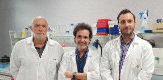 Estudian la eficacia de un fármaco empleado en la anestesia general para reducir la disfunción cognitiva tras una cirugía cardiaca Los profesores de la CEU UCH Vicente Rodilla, Vicente Muedra y Vicente Hernández-Rabaza, coautores del estudio sobre el efecto neuroprotector del sugammadex en cirugías cardiacas.