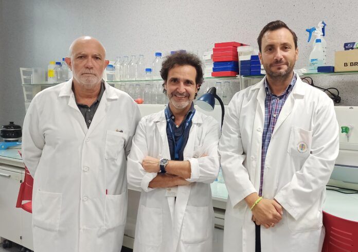 Los profesores de la CEU UCH Vicente Rodilla, Vicente Muedra y Vicente Hernández-Rabaza, coautores del estudio sobre el efecto neuroprotector del sugammadex en cirugías cardiacas.