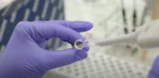 Las hipótesis sobre el origen de la hepatitis aguda grave en niños