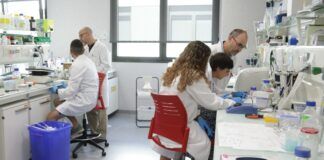 Publican nuevos hallazgos sobre el papel de la proteína Rnd3 en las enfermedades neurodegenerativas