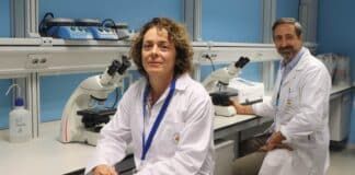 Nuevos resultados sobre la influencia en los procesos neurodegenerativos de una micotoxina presente en diversos alimentos