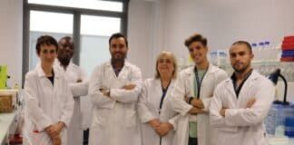 Un antioxidante vegetal, posible diana terapéutica para la retinosis pigmentaria