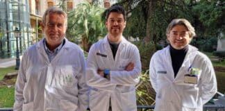 Un estudio detecta cambios en el perfil de los pacientes psiquiátricos ingresados en los últimos 15 años y durante la pandemia