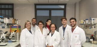 Estudian el estrés oxidativo y la inflamación como dianas terapéuticas para frenar la pérdida de visión en la retinosis pigmentaria