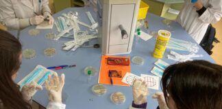 En busca de nuevos antibióticos, en busca de «nuevos Fleming»