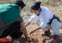 Une journée de reforestation aux accents internationaux.
