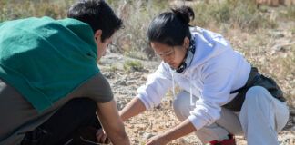 Una jornada de reforestación con acento internacional