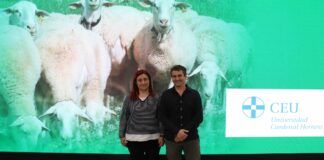Forman a veterinarios en las estrategias de control y prevención frente a la fiebre Q