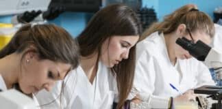 La Facultad de Ciencias de la Salud, primera de la Comunidad Valenciana en obtener la Certificación Audit Internacional ANECA