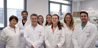 Descubren cepas bacterianas salvajes con potencial antimicrobiano frente al patógeno que causa la agalaxia contagiosa en ganado ovino y caprino