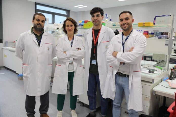 grupo-ceu-uch-nutricion-envejecimiento-celular-1
