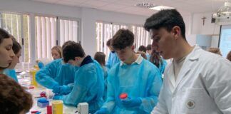 Universitarios que guían a preuniversitarios en la búsqueda de nuevos antibióticos