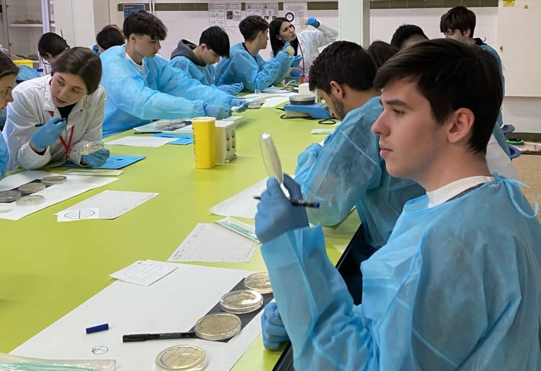 Estudiantes del equipo SWICEU en una de las sesiones experimentales de búsqueda de nuevos antibióticos en los colegios participantes.