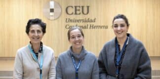 Avanzan en el conocimiento de los mecanismos moleculares de la artrosis