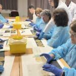 Resultados positivos en la búsqueda de nuevos antibióticos en Cheste Vecinos de Cheste comprueban los resultados en sus placas de cultivo, en el proyecto Pueblos con-Ciencia del equipo SWICEU.