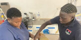 GambiaVET, un proyecto solidario que transforma la educación y empodera a los estudiantes
