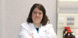 Publican nuevos hallazgos sobre el ciclo de vida de los virus que infectan a bacterias multirresistentes