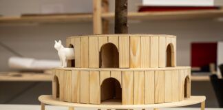 Diseñan refugios para gatos de colonias felinas urbanas