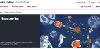 José R. Penadés, en portada de Nature Reviews Microbiology
