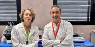 Investigadores de la CEU UCH estudian la implicación de una micotoxina presente en diversos alimentos en los trastornos neurológicos