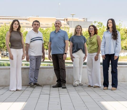 The European OliWa project: repurposing waste from olive oil production in the Mediterranean area