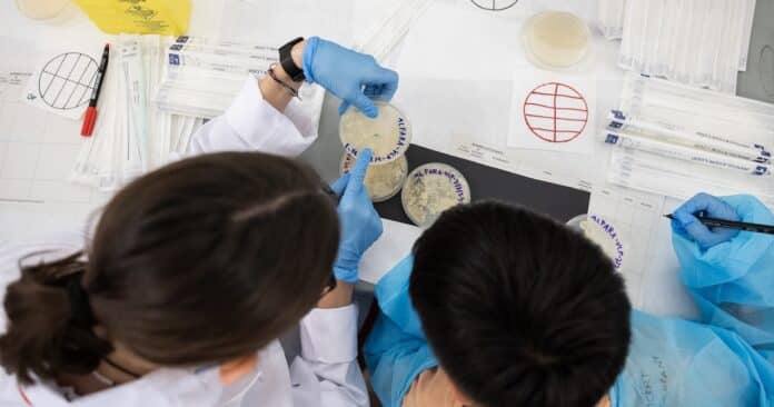 pueblos-con-ciencia-alfara-ceu-uch-d