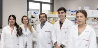 Identifican un alto potencial antioxidante en las hojas y la corteza de la planta del anacardo