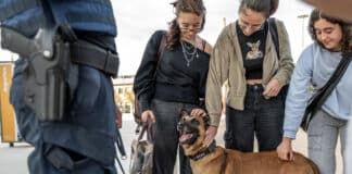 Estudiantes y profesores de la CEU UCH participan en el ejercicio Cerbero 25 junto a guías caninos del Ejército y otras Fuerzas y Cuerpos de Seguridad del Estado