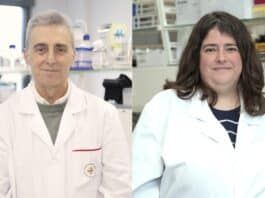 Los virus ‘escuchan’ a otros virus: investigadores de la CEU UCH participan en un nuevo hallazgo sobre comunicación entre virus distintos