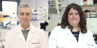 Los virus ‘escuchan’ a otros virus: investigadores de la CEU UCH participan en un nuevo hallazgo sobre comunicación entre virus distintos