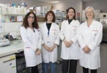 Combinan bacteriófagos con aceites esenciales para eliminar bacterias multirresistentes en granjas