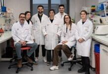 Descubren por qué algunas especies de Listeria no son buenos modelos para estudiar riesgos alimentarios