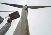 Nuevos materiales biobasados y herramientas predictivas para mejorar la resistencia a la erosión en palas eólicas