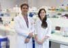 Obesidad y enfermedad renal: investigadores de la CEU UCH colaboran en un estudio con la Universidad canadiense de Alberta