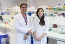 Obesidad y enfermedad renal: investigadores de la CEU UCH colaboran en un estudio con la Universidad canadiense de Alberta