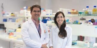Obesidad y enfermedad renal: investigadores de la CEU UCH colaboran en un estudio con la Universidad canadiense de Alberta