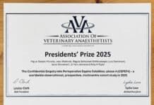 Premiados por el mayor estudio internacional sobre mortalidad anestésica equina