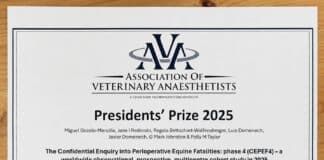 Premiados por el mayor estudio internacional sobre mortalidad anestésica equina