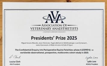 Premiados por el mayor estudio internacional sobre mortalidad anestésica equina