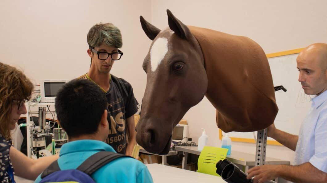 visita al hospital veterinario web (7)