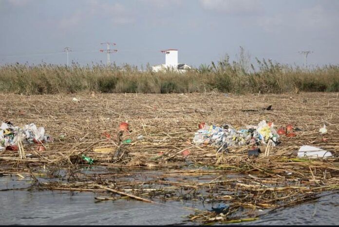 campos albufera-contaminacion-residuos-plastico-dana-2025